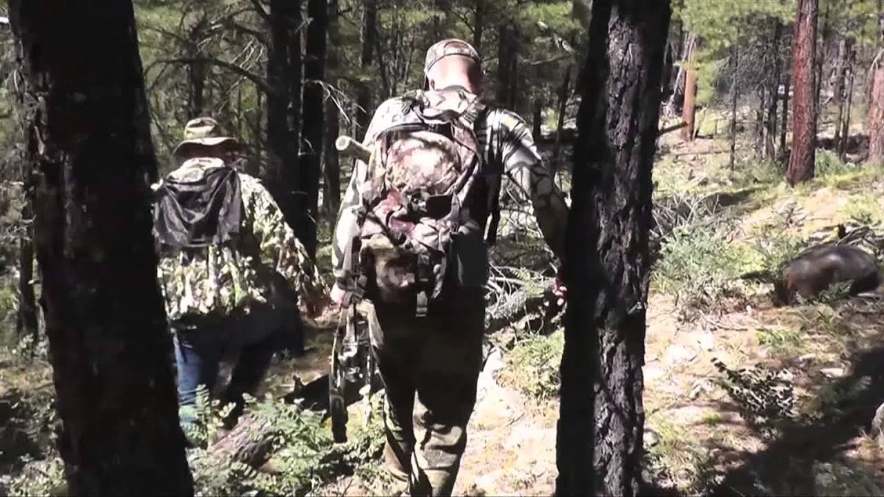 Bowhunting AZ Elk 2013 - YouTube