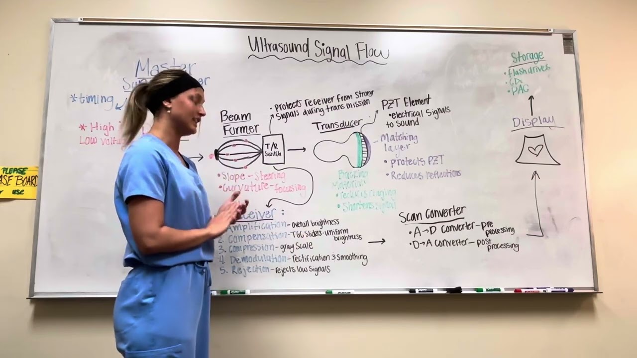 DMS 216 Ultrasound signal flow 