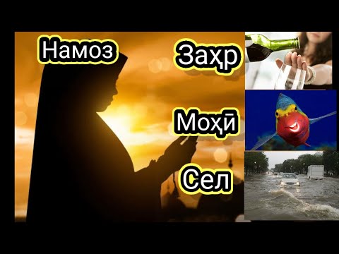 таъбири хоби Намоз, захр ,мохи,сел (таъбири хобхо)