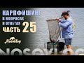 Карпфишинг в вопросах и ответах №25, А. Колесников