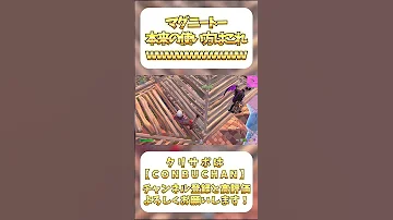 マグニートー マグニートーの本来の使い方見つけましたwwwwwwwwwwwwww フォートナイト Fortnite Shorts Fortnite Shorts フォートナイト フォトナ 