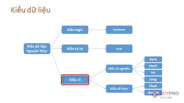 Học Java Cơ Bản: Bài 5- Biến Hằng Kiểu Dữ Liệu 1