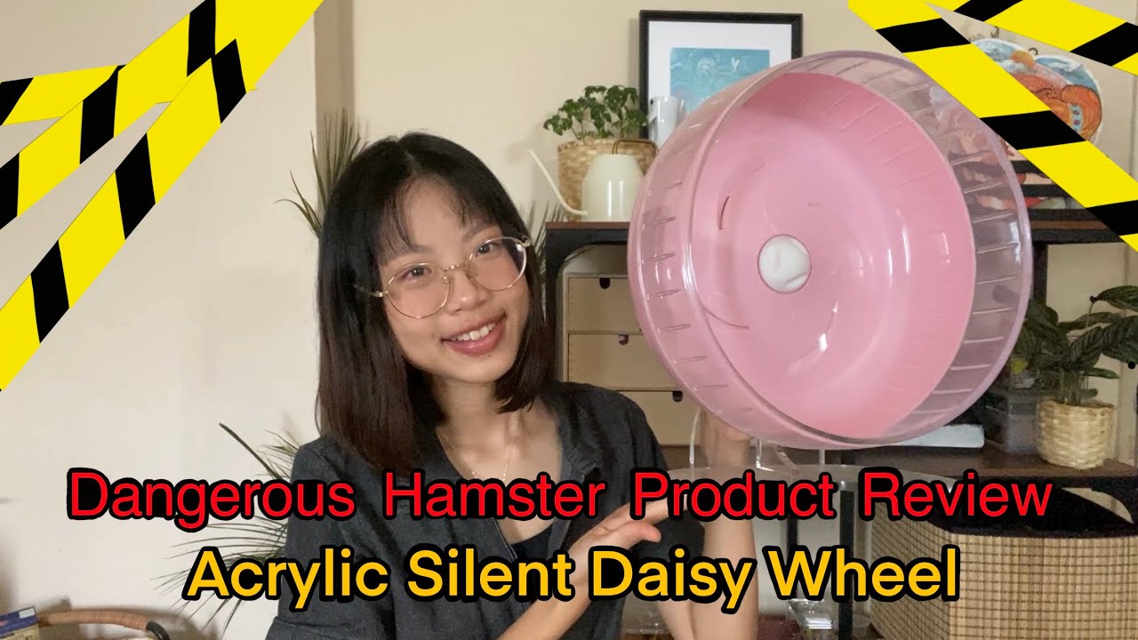Dangerous Hamster Product Review - Acrylic Silent Daisy Wheel