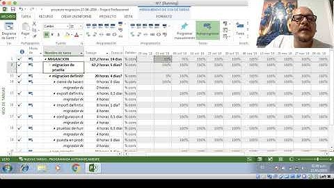 Curvas S - MS Project