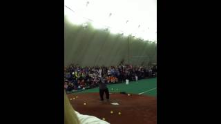 Crystl Bustos Batting