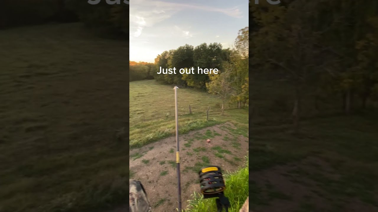 Just Out Here Deer Deerhunting Hunting