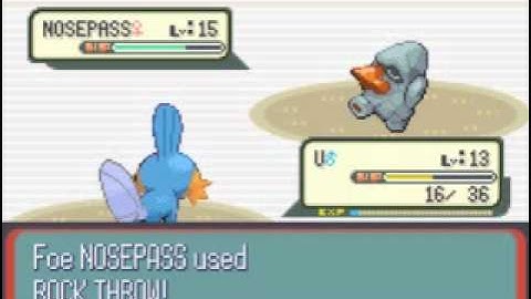 Pokémon Ruby Improved Speed Run Segment 7