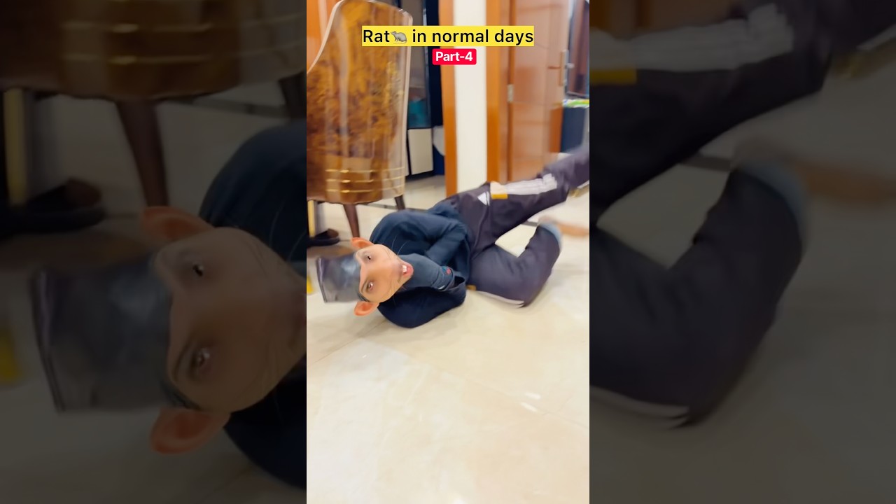 🦡in normal days v/s 🐀 in ganesh chaturthi 😂 #funnyvideo #comedy #comedyshorts #funnyshorts