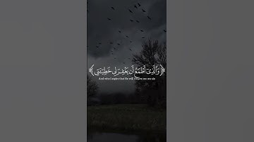 الذي خلقني فهو يهدين (سورة الشعراء) #ياسر_الدوسري #قران_كريم 😴