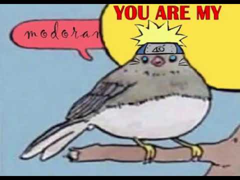 annoyed-bird-meme-naruto