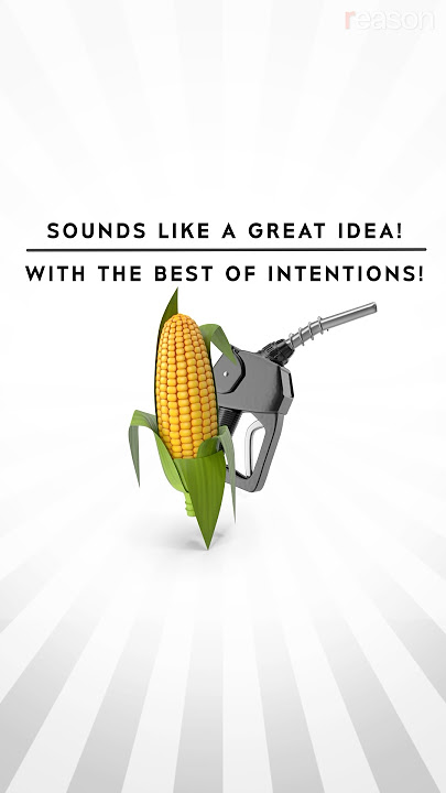 How corn ethanol backfired