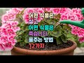 어떤 식물은 살고 어떤 식물은 죽습니다! 물주는 방법 12가지