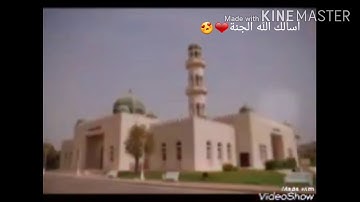 تلاوة تريح القلب والجسد😍💜القارئ الشيخ وليد فاضل العبيدي