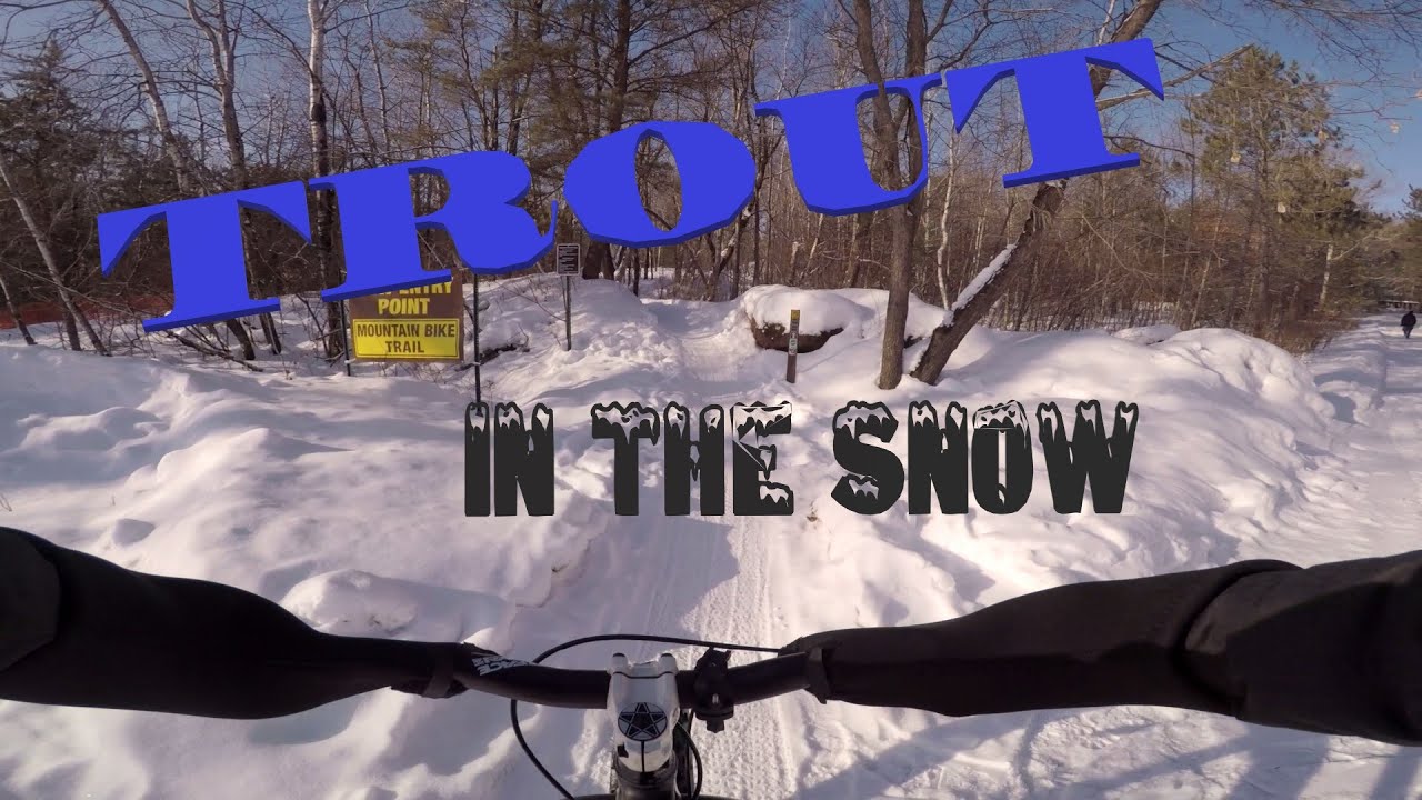 Cuyuna Lakes MTB Trails, Yawkey unit: "Trout" - on a fat bike in the snow