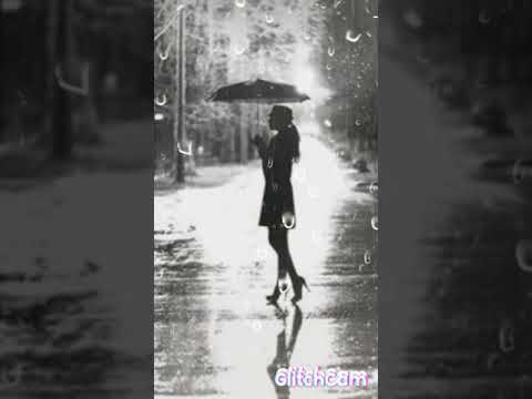 هاني شاكر انسى ايه