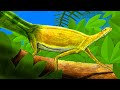 Hypuronector - A Prehistoric Swimming Reptile?