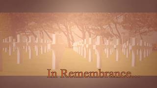 Hon. Peter Milczyn Remembrance Day 2017