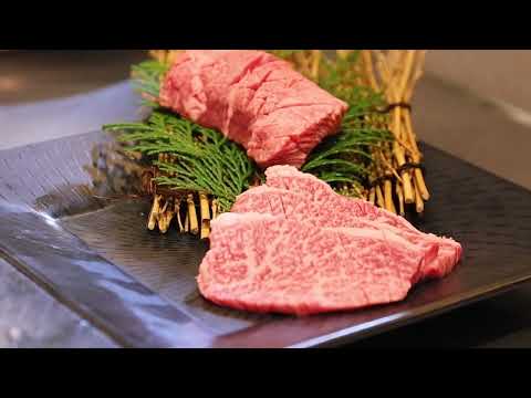 Yakiniku Meat Ushio
