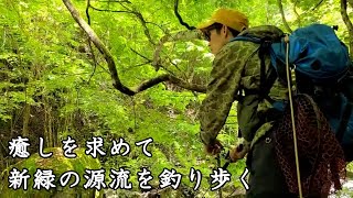 【源流釣行】岩魚が生息する?未知のエリアを開拓! 【源流釣行】岩魚が生息する?未知のエリアを開拓!