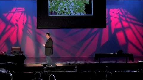 Failure Is The Best Possible Outcome: Nigel Parker at TEDxAuckland