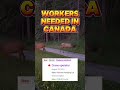 Crane Operator Needed In Canada I Direct Hiring I No Age Limit I Buhay Canada Shorts Crane Operator Needed In Canada I Direct Hiring I No Age Limit I Buhay Canada Shorts