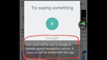 Solution: Your audio will be sent to Google to provide speech recognition service.