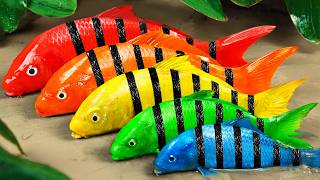 Best Of Small Fish Recipe | MINIATURE Fish Cooking Made EASY with Simple Recipe
