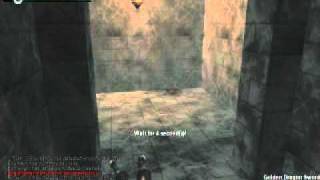 Gunz The Duel