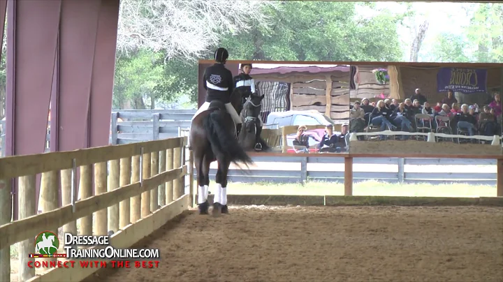 Dressage judge Janet Foy on what she looks for at ...