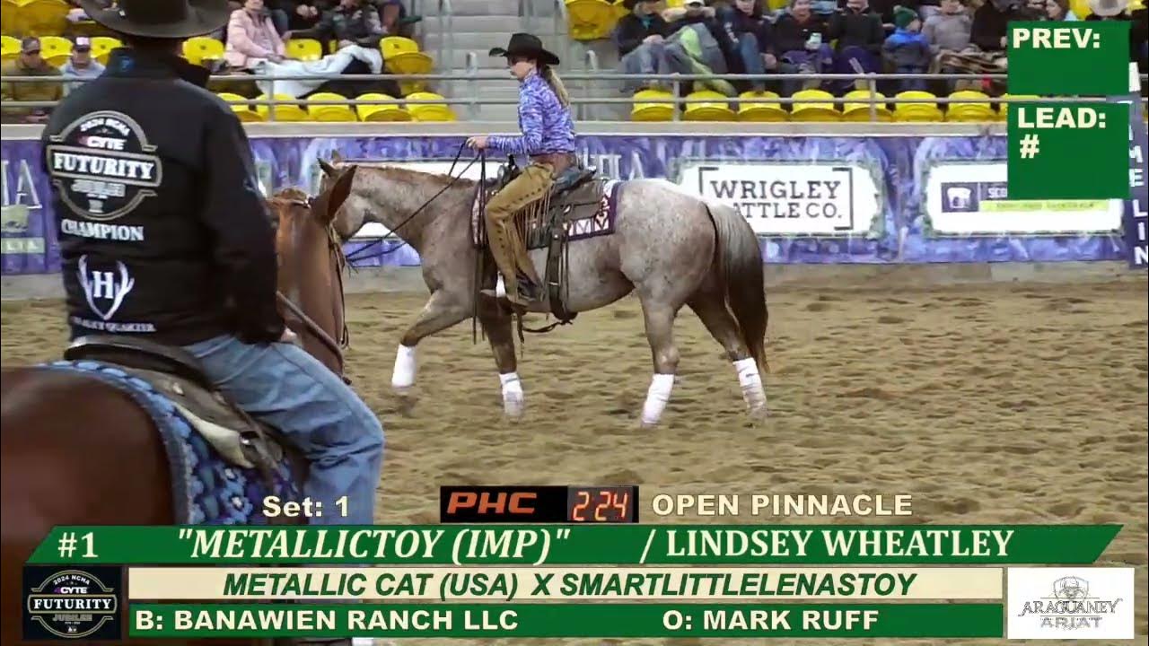 METALLICTOY LINDSEY WHEATLEY PINNACLE OPEN CHAMPIONS NCHA AU FUTURITY