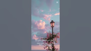 اجمل صوت 🥺🤍 راحة 💫 استماع 🌹 القارئ محمد اللحيدان 💗✨ . تلاوة هادئة و مريحة لقلبك 🥺🤍✨.