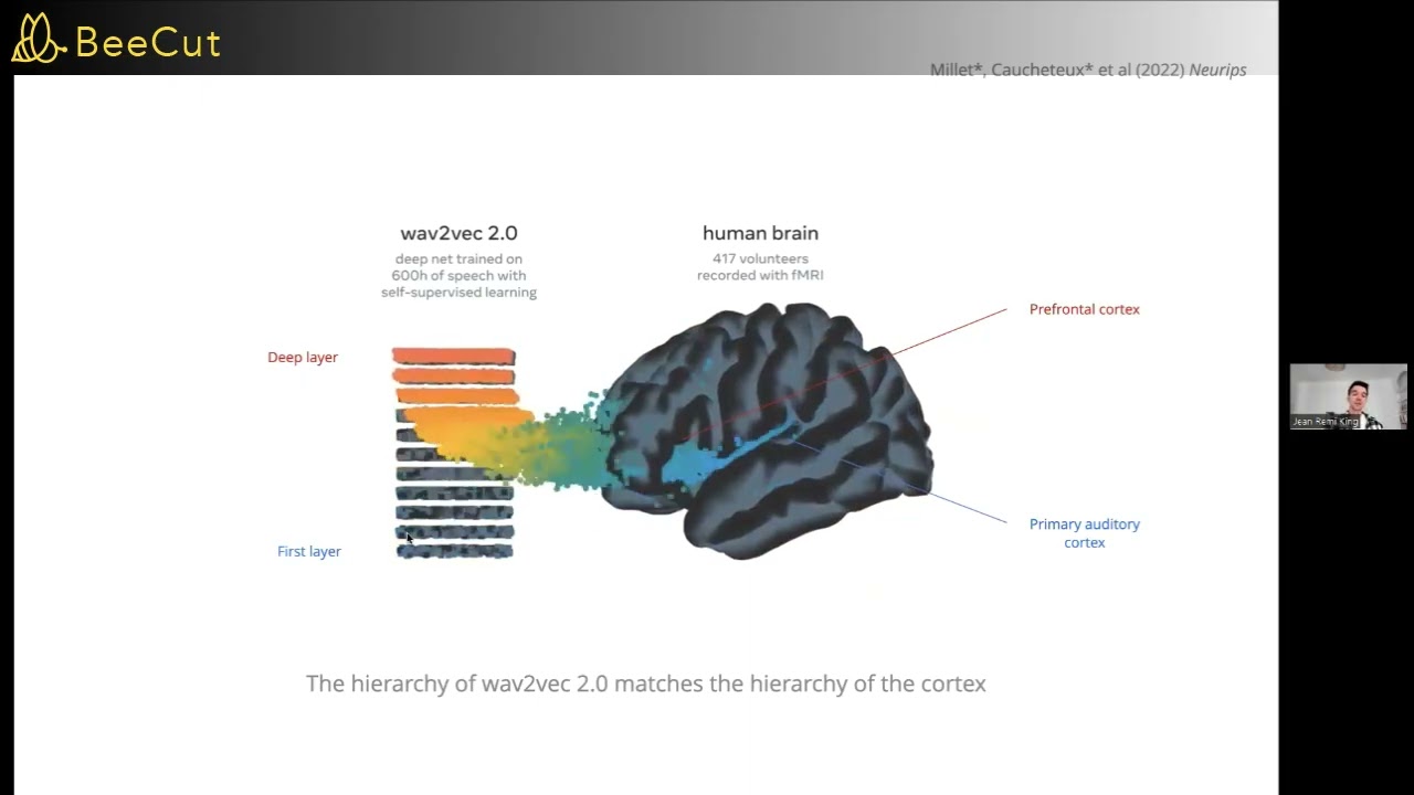 Language: In search of neural code