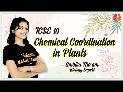 Chemical Coordination in Plants | ICSE Class 10 Biology Chapter 7 | SELINA @Vedantu Class 9 & 10