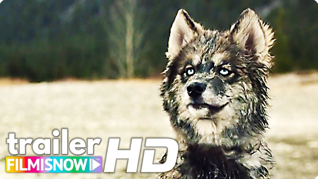 TOGO (2019) Emotional First Trailer 🐶 | Disney+ Original Movie - YouTube