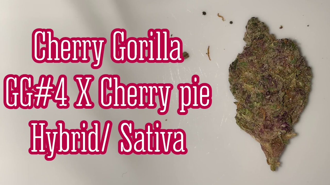 Cherry Gorilla review with J Crispyy