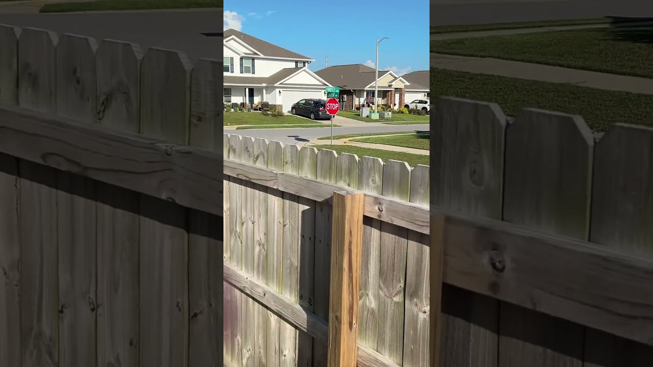 I Went On A Trip To My Nanny S For Three Days