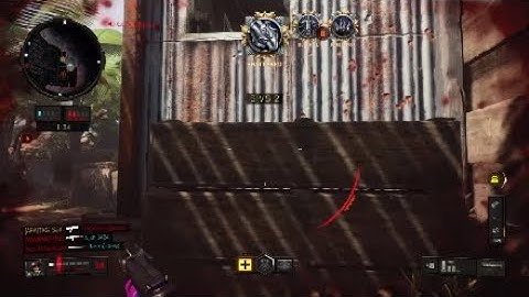 OMG! i Ran into a Hacker in bo4 snd... And i killed him !