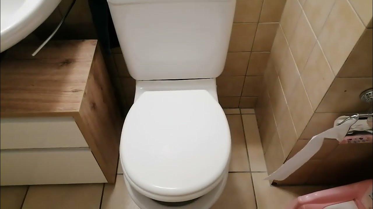 WC Toilette stinkt richt nach Kanalisation was kann ich selber tun? Tipp Deutsch 2022