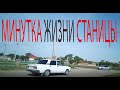 Минутка из жизни станицы