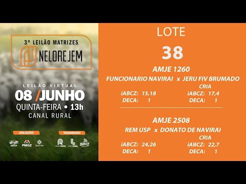 LOTE 38