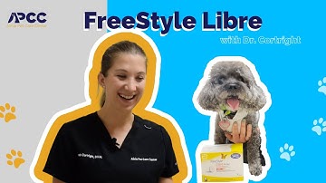 What is a FreeStyle Libre And How Do I Get Started?