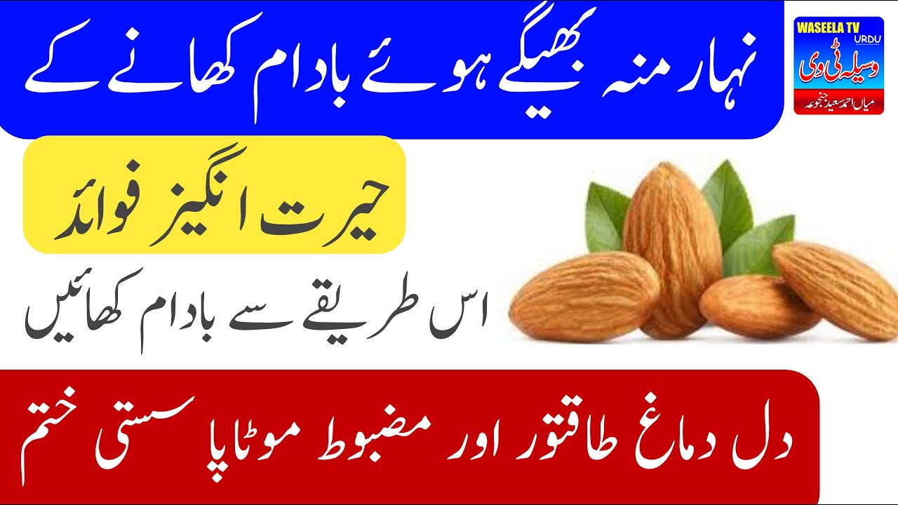 Bheege Badam Khane Ke Fayde Badam Khane Ke Fayde Benefits of Almond