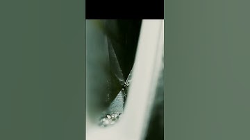 How knife sharpener works close up #urday #macro  #youtubeshorts #asmr #asmrvideo