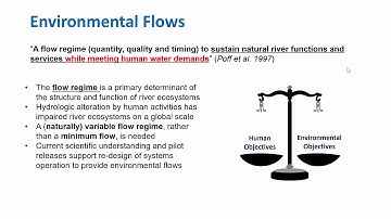 Environmental Flows