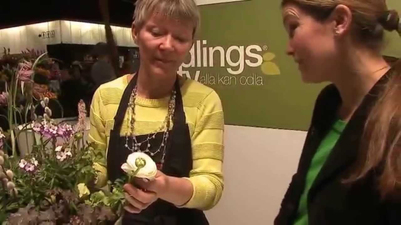 Peter korn trädgården och odla i sand by odlingstv 2016 04 14