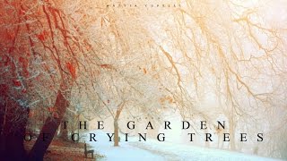 Emotional Epic Beautiful Acoustic Guitar Orchestral - "The Garden Of Crying Trees" by Mattia Cupelli chords