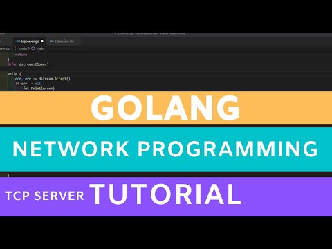 Golang network programming tutorial - tcp socket server