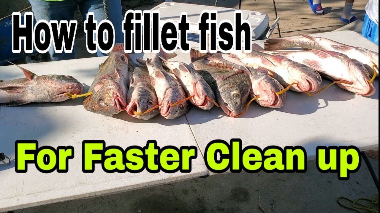 How to fillet fish while still on the stringer - YouTube