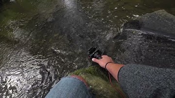 OM Systems LS-P5 - Field Recording Test.