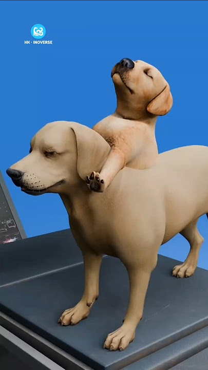 Eksperimen Gila! Ilmuwan Soviet Menciptakan Anjing Berkepala Dua!